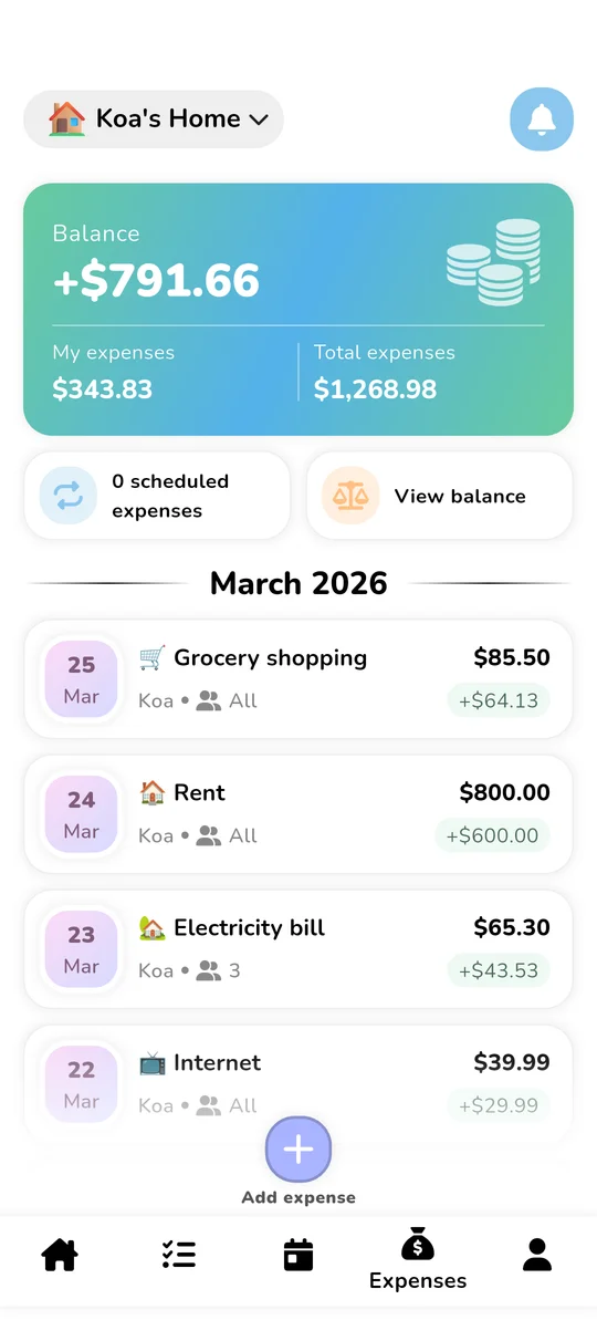 Shared budget and expense splitting interface